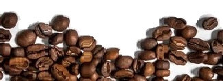 Burundi Washed Gourmet Coffee - Free Shipping